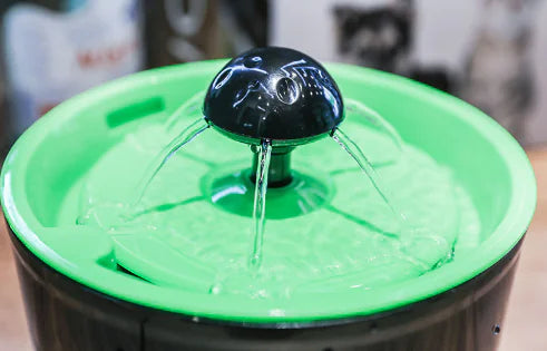 Aesthetic Hydrating Water Fountain