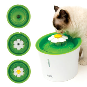 Aesthetic Hydrating Water Fountain