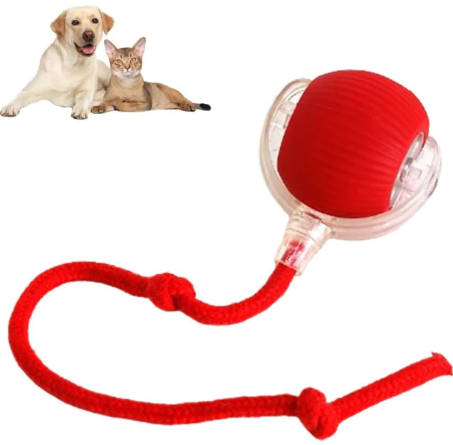PawRoll™ Smart Pet Ball
