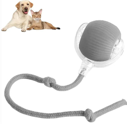PawRoll™ Smart Pet Ball