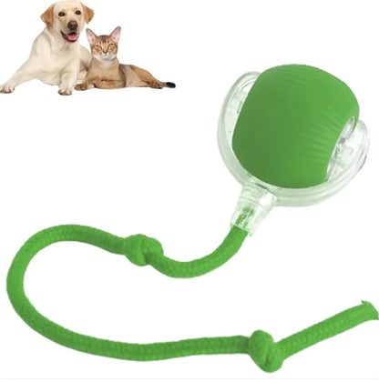PawRoll™ Smart Pet Ball