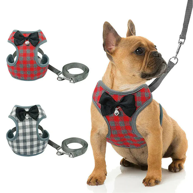 Chic Checkered Pet Harness & Leash